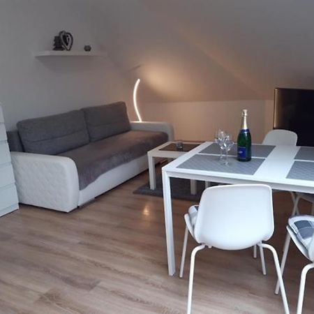 Appartement Apartman Kamenice à Kamenice nad Lipou Extérieur photo