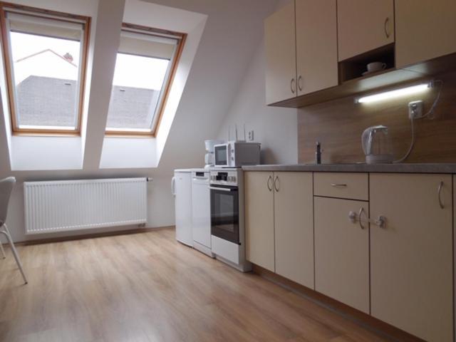 Appartement Apartman Kamenice à Kamenice nad Lipou Extérieur photo