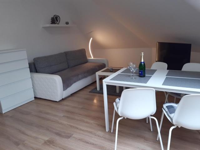 Appartement Apartman Kamenice à Kamenice nad Lipou Extérieur photo