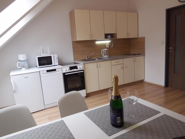 Appartement Apartman Kamenice à Kamenice nad Lipou Extérieur photo