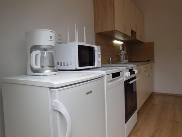 Appartement Apartman Kamenice à Kamenice nad Lipou Extérieur photo